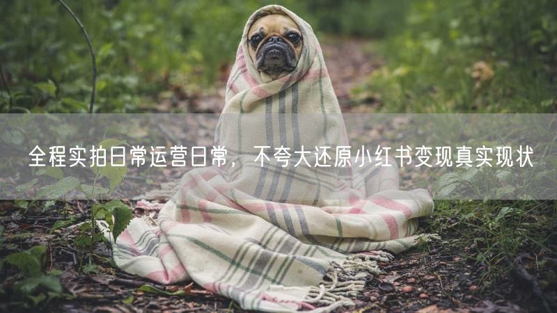 全程实拍日常运营日常，不夸大还原小红书变现真实现状