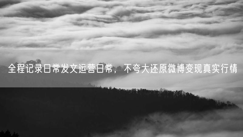真实记录微博运营：日常发文与变现行情揭秘