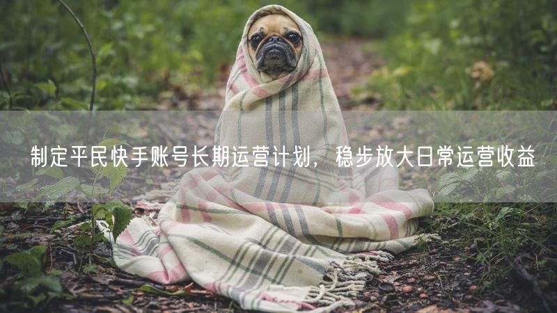 制定平民快手账号长期运营计划，稳步放大日常运营收益