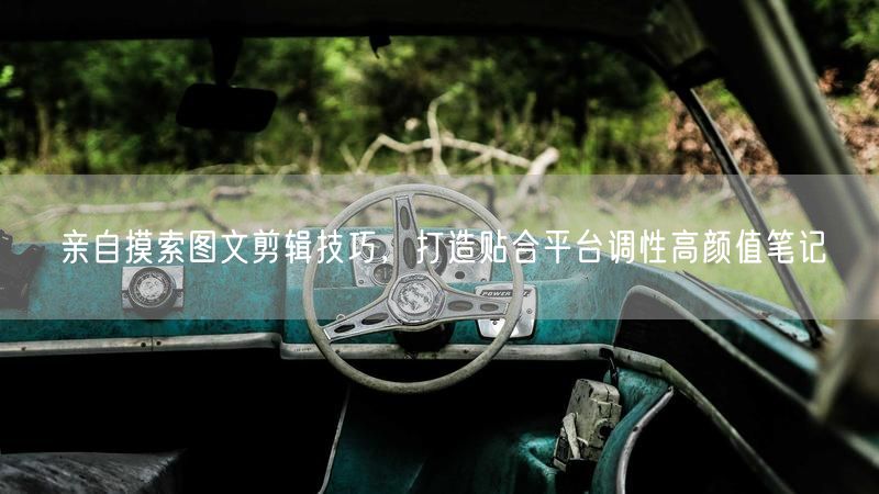 亲自摸索图文剪辑技巧，打造贴合平台调性高颜值笔记