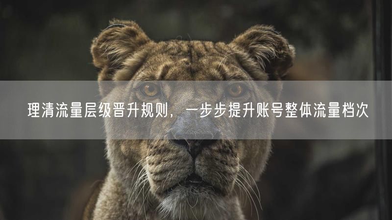 理清流量层级晋升规则，一步步提升账号整体流量档次