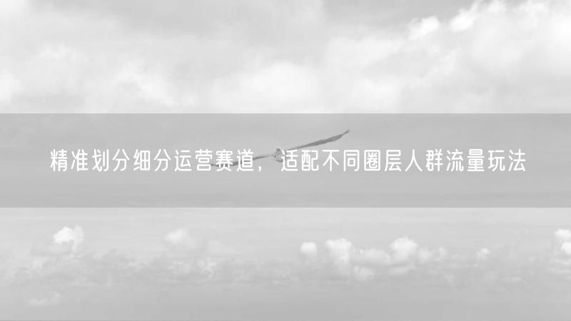 精准划分细分运营赛道,适配不同圈层人群流量玩法