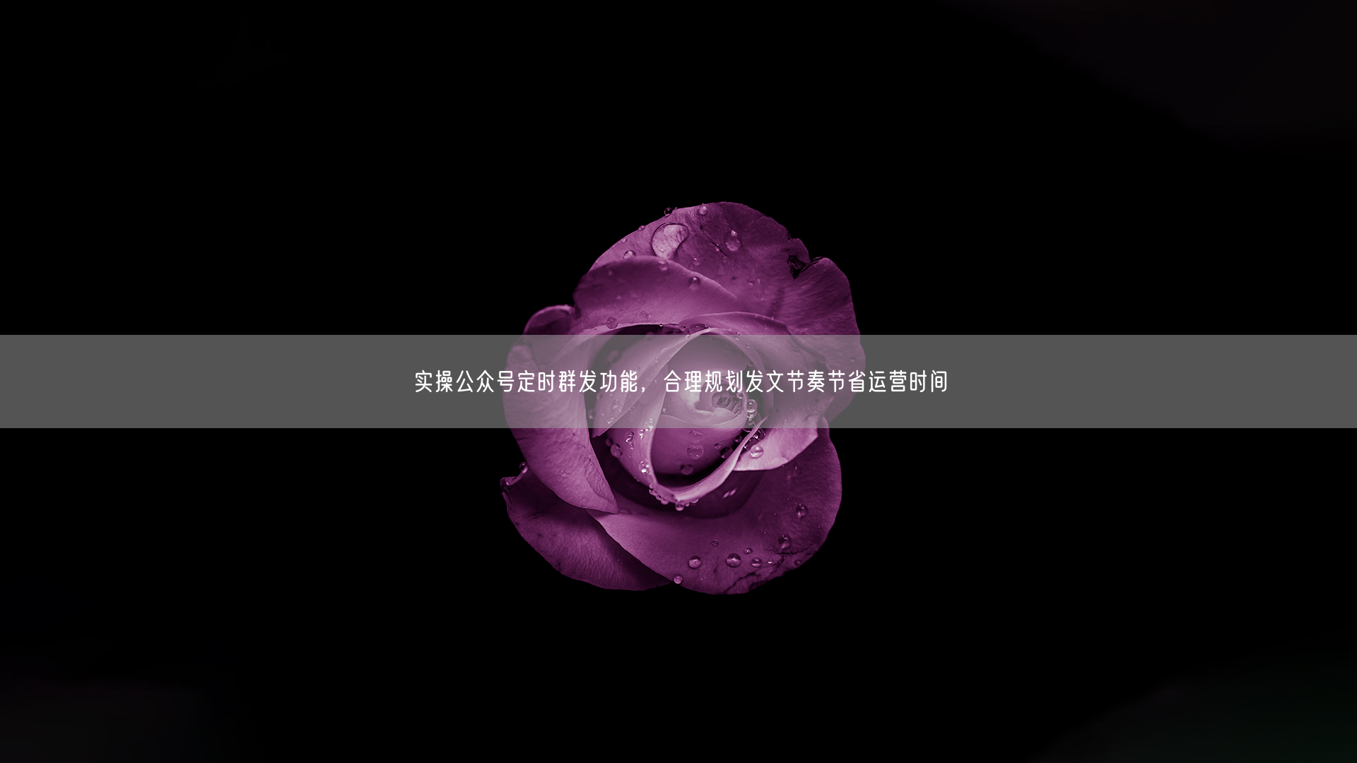 巧用公众号定时群发，规划节奏节省运营时间