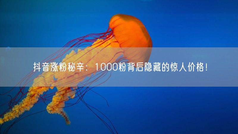 抖音涨粉秘辛:1000粉背后隐藏的惊人价格!