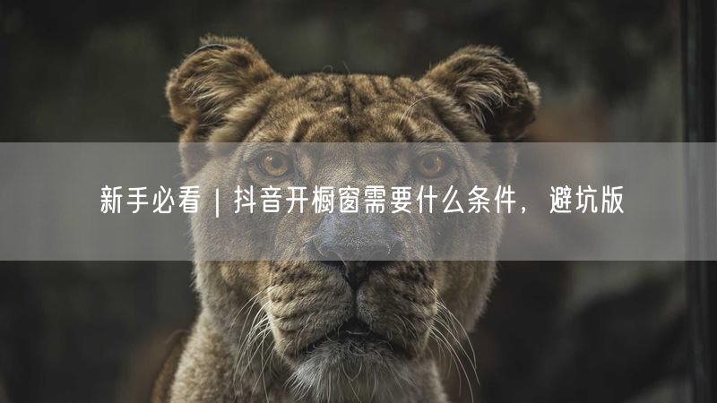 新手必看｜抖音开橱窗需要什么条件，避坑版