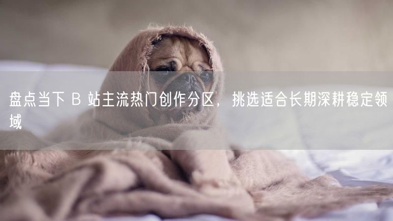 盘点当下 B 站主流热门创作分区，挑选适合长期深耕稳定领域