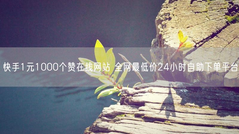 快手1元1000个赞在线网站 全网最低价24小时自助下单平台