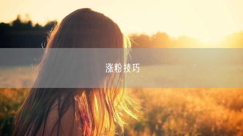 涨粉技巧