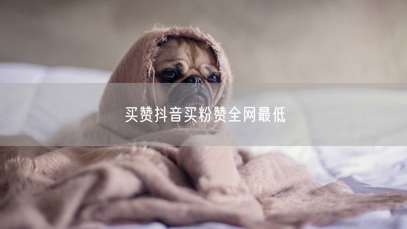 买赞抖音买粉赞全网最低