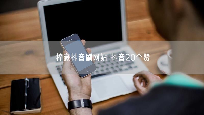 梓豪抖音刷网站 抖音20个赞