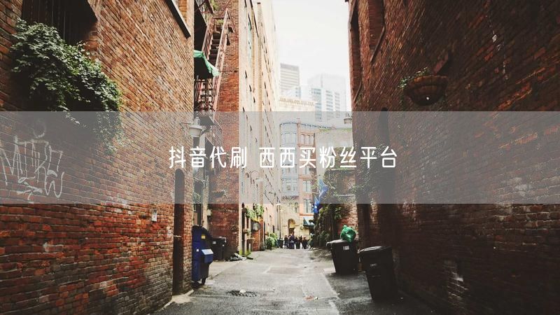 抖音代刷 西西买粉丝平台