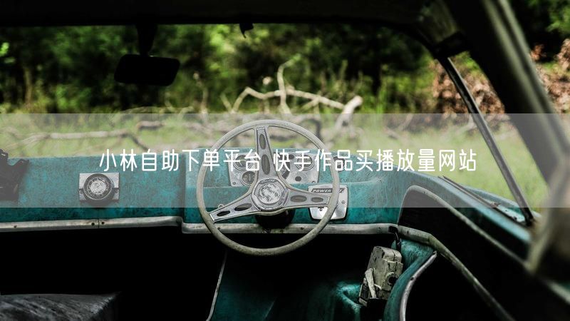 小林自助下单平台 快手作品买播放量网站