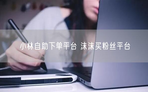 小林自助下单平台 沫沫买粉丝平台