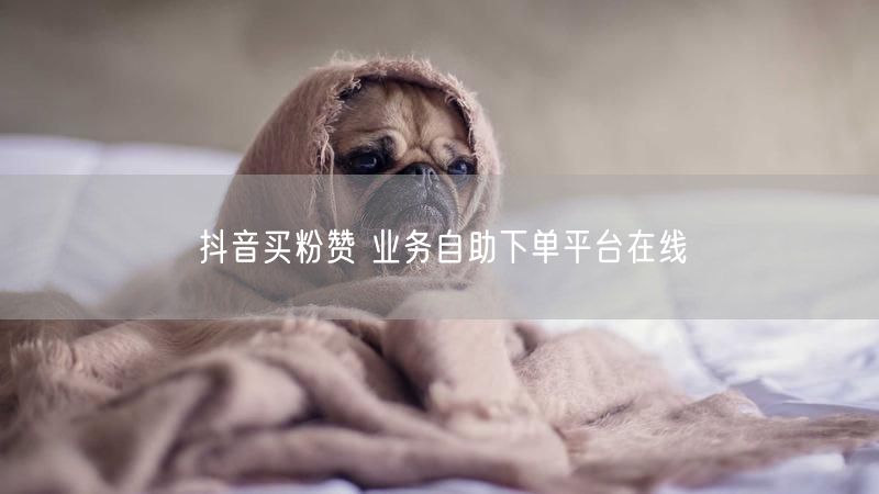 抖音买粉赞 业务自助下单平台在线