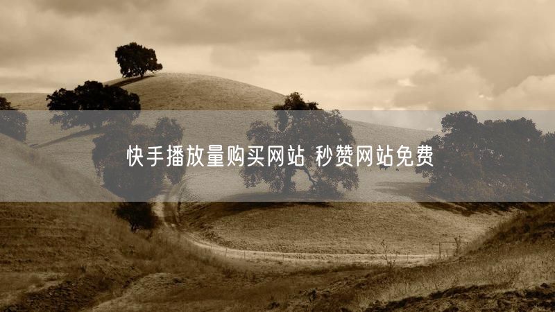 快手播放量购买网站 秒赞网站免费