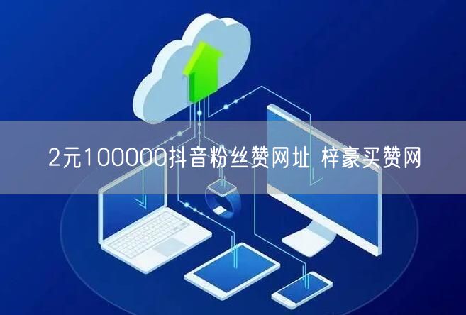 2元100000抖音粉丝赞网址 梓豪买赞网