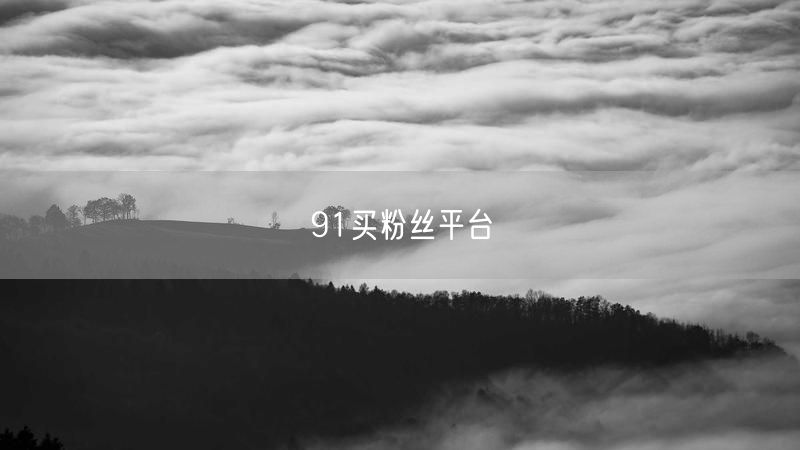 91买粉丝平台