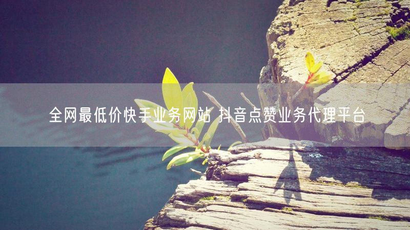 全网最低价快手业务网站 抖音点赞业务代理平台
