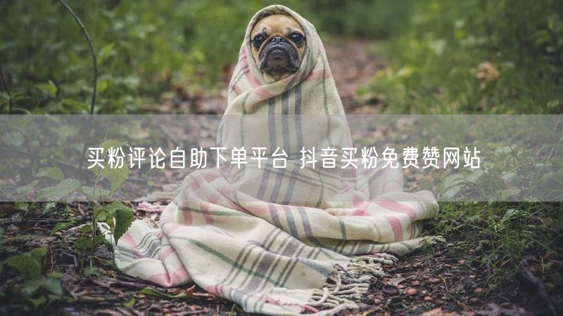 买粉评论自助下单平台 抖音买粉免费赞网站