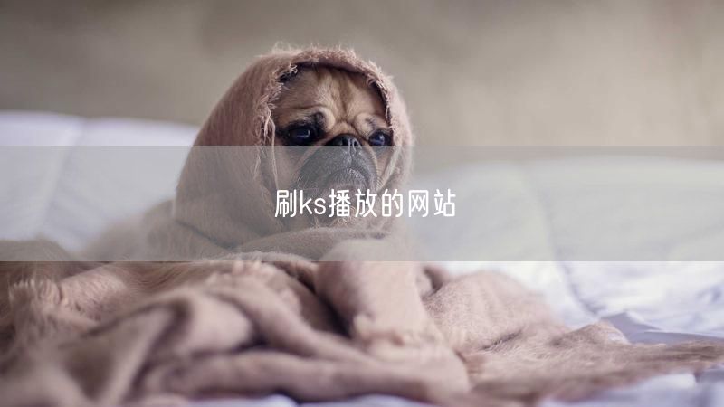 刷ks播放的网站