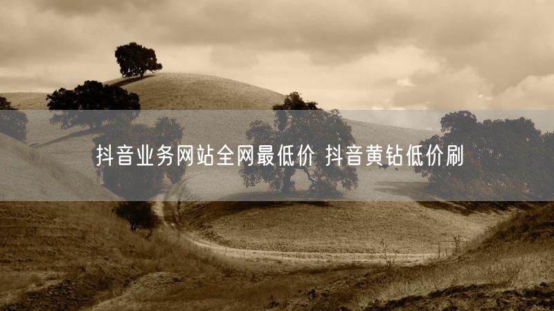 抖音业务网站全网最低价 抖音黄钻低价刷