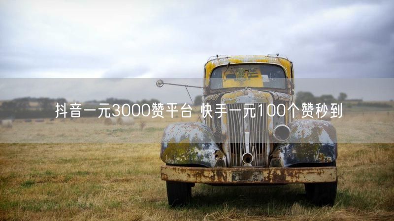 抖音一元3000赞平台 快手一元100个赞秒到