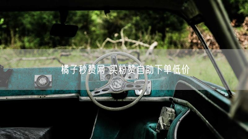 橘子秒赞网 买粉赞自助下单低价