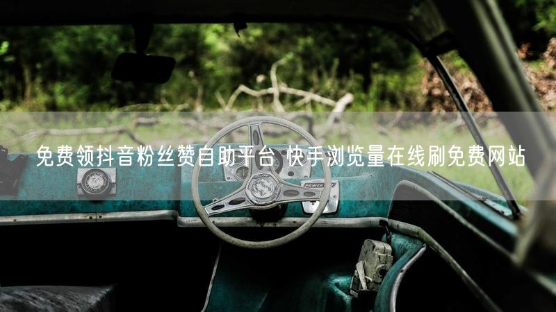 免费领抖音粉丝赞自助平台 快手浏览量在线刷免费网站