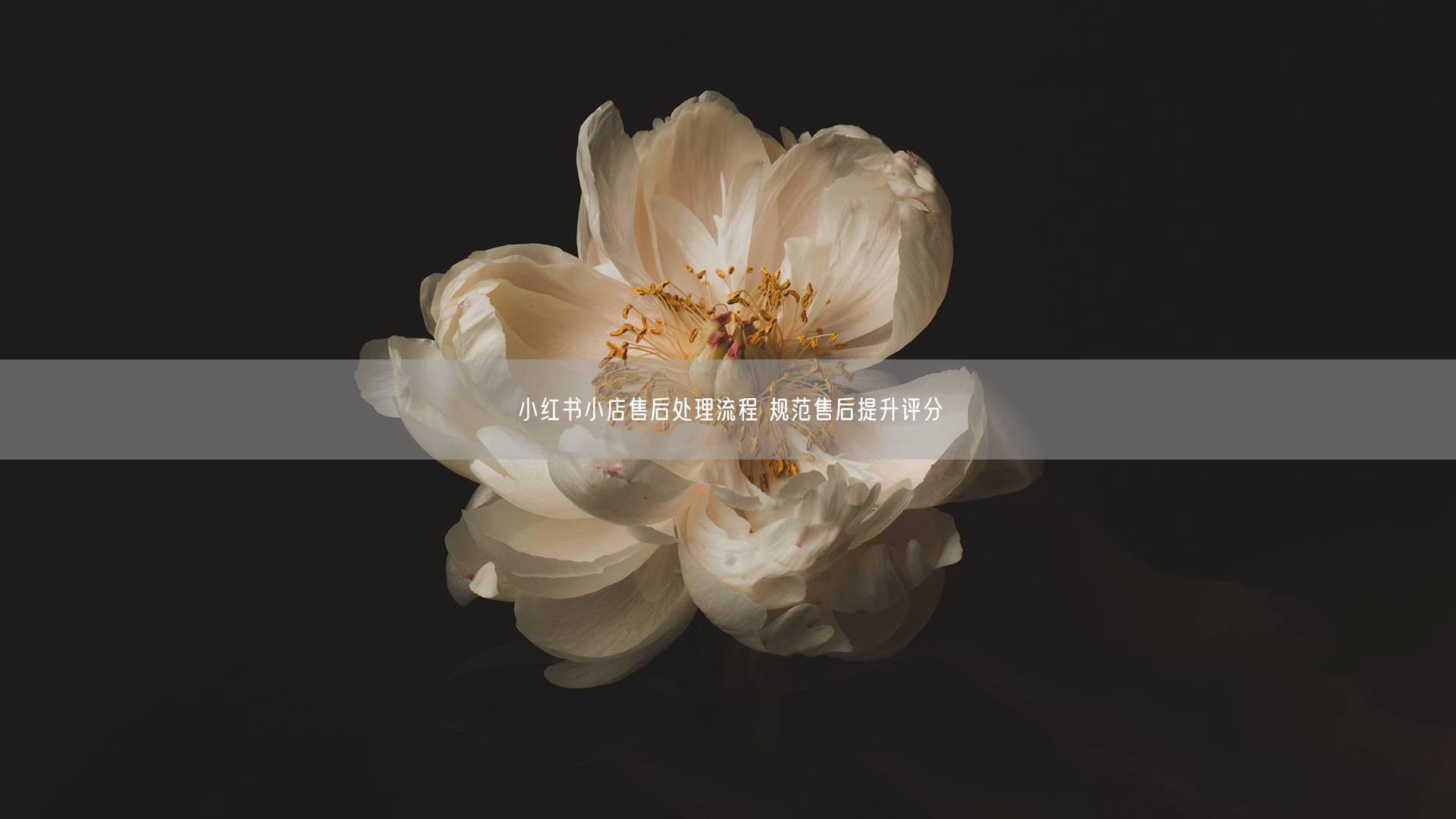 小红书小店售后处理流程 规范售后提升评分