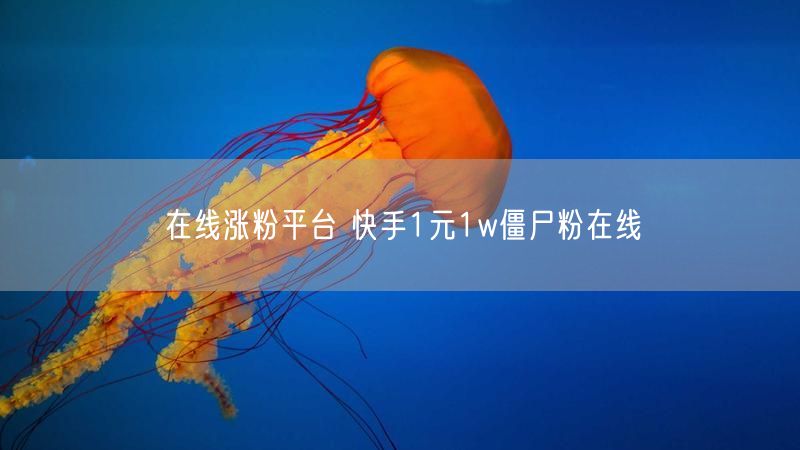 在线涨粉平台 快手1元1w僵尸粉在线