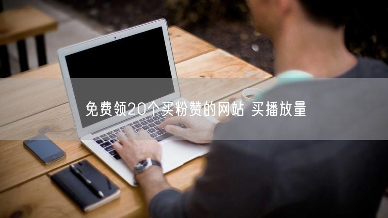免费领20个买粉赞的网站 买播放量