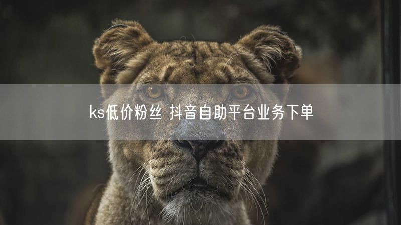 ks低价粉丝 抖音自助平台业务下单