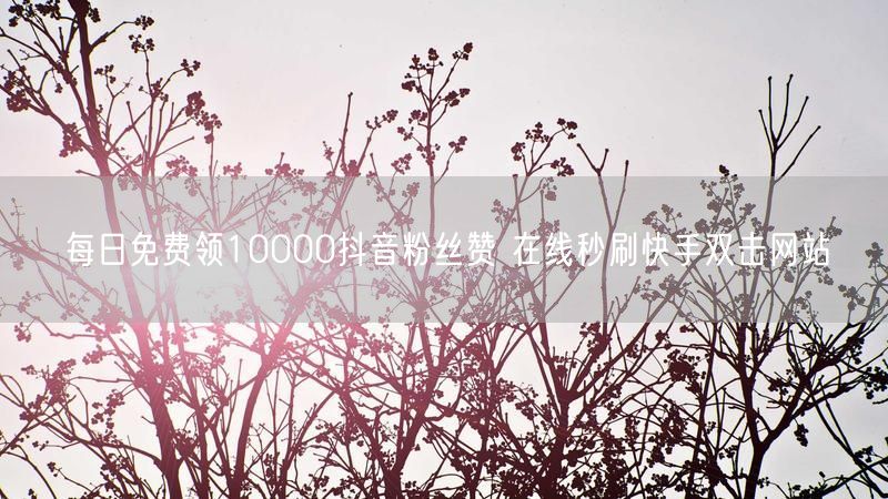 每日免费领10000抖音粉丝赞 在线秒刷快手双击网站
