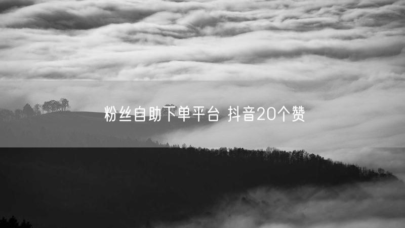 粉丝自助下单平台 抖音20个赞