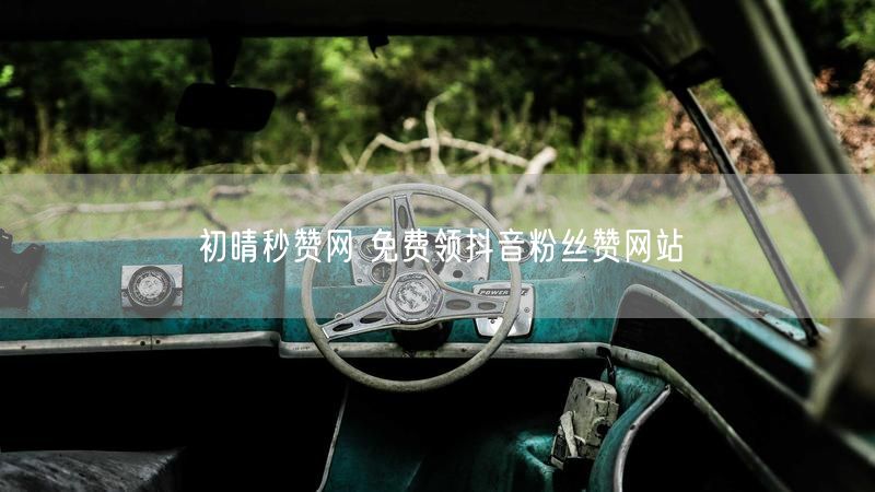 初晴秒赞网 免费领抖音粉丝赞网站