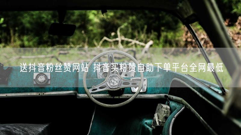 送抖音粉丝赞网站 抖音买粉赞自助下单平台全网最低