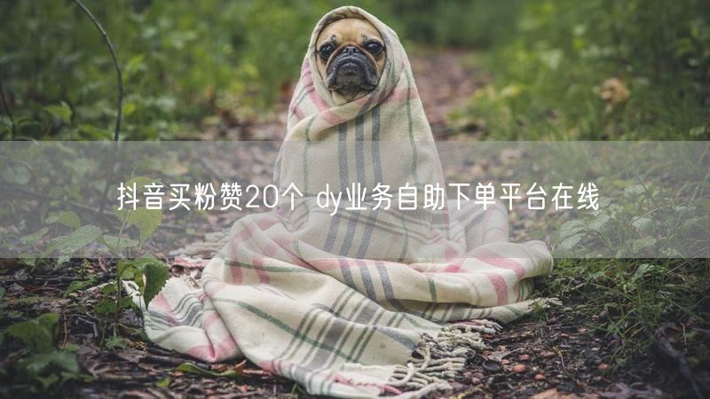 抖音买粉赞20个 dy业务自助下单平台在线