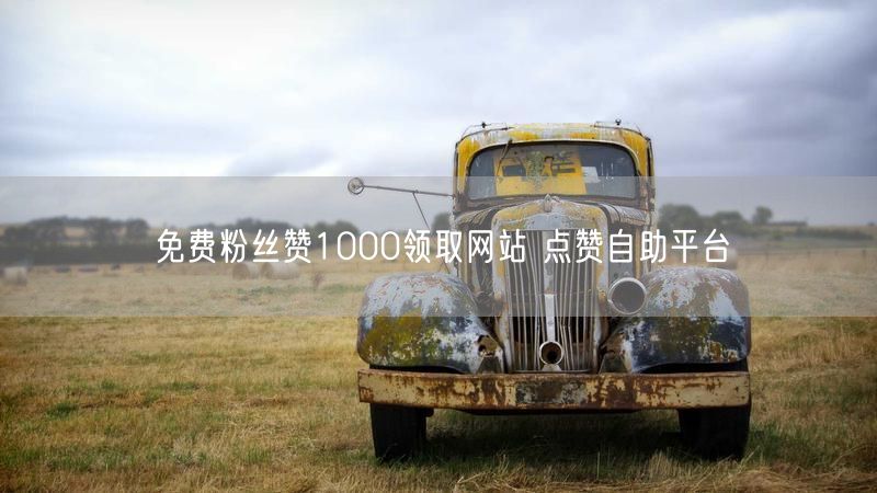 免费粉丝赞1000领取网站 点赞自助平台