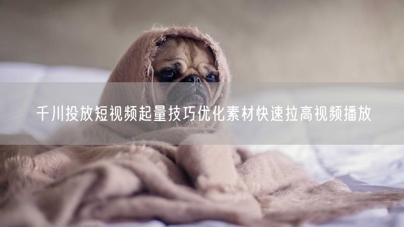 千川投放短视频起量技巧优化素材快速拉高视频播放