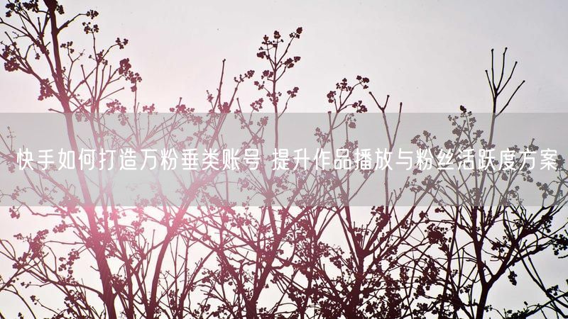 快手如何打造万粉垂类账号 提升作品播放与粉丝活跃度方案