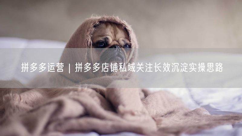 拼多多运营|拼多多店铺私域关注长效沉淀实操思路