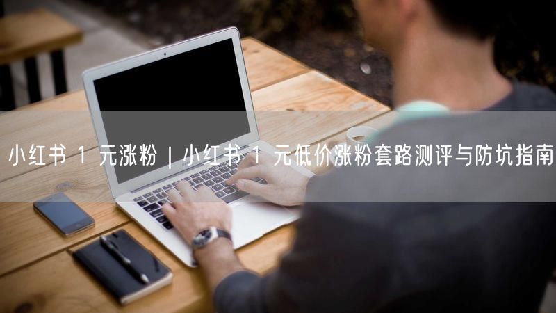 小红书 1 元涨粉｜小红书 1 元低价涨粉套路测评与防坑指南