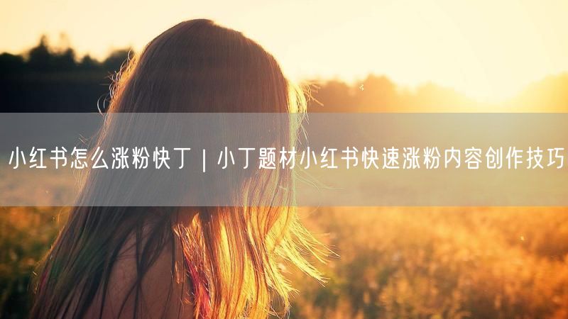 小红书怎么涨粉快丁｜小丁题材小红书快速涨粉内容创作技巧