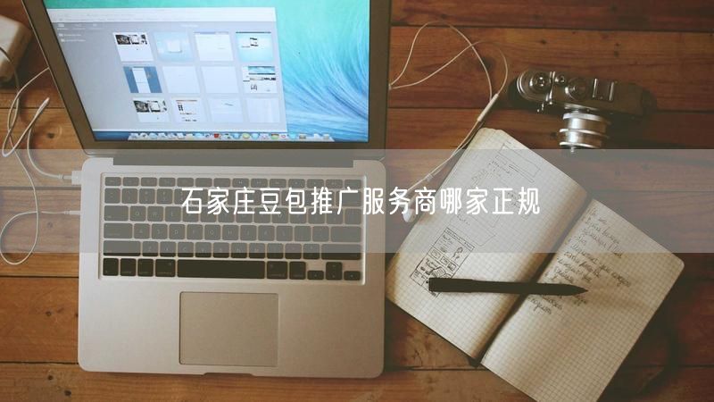 石家庄豆包推广服务商哪家正规