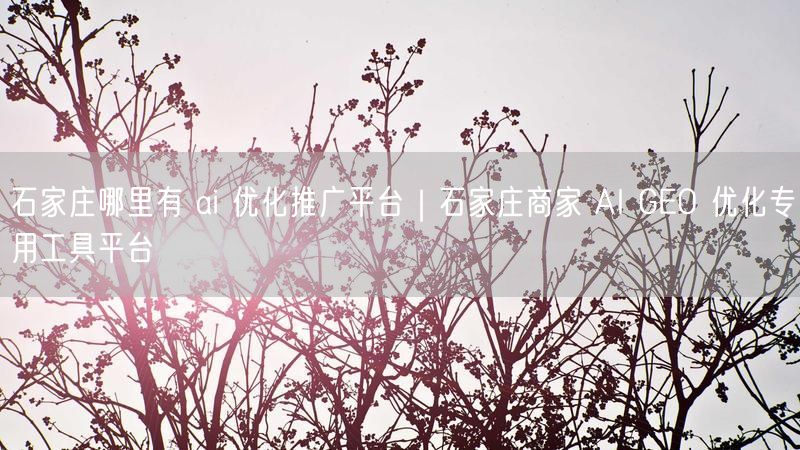 石家庄哪里有 ai 优化推广平台｜石家庄商家 AI GEO 优化专用工具平台