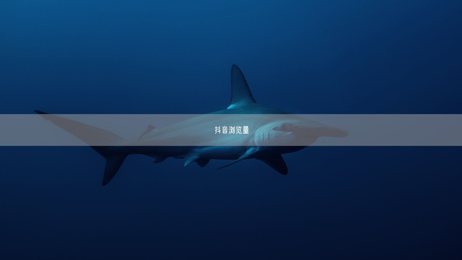 揭秘提升抖音浏览量技巧：优化内容与利用算法打造热门