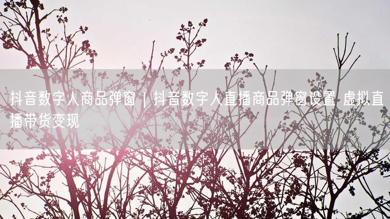 抖音数字人商品弹窗｜抖音数字人直播商品弹窗设置 虚拟直播带货变现