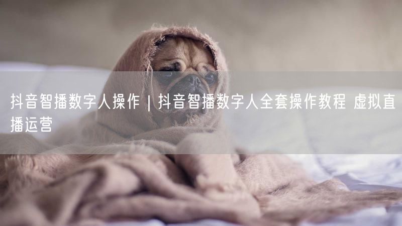 抖音智播数字人操作｜抖音智播数字人全套操作教程--粉刷客
