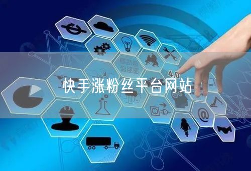 快手涨粉丝平台网站