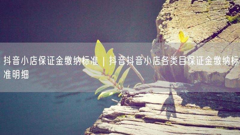 抖音小店保证金缴纳标准｜抖音抖音小店各类目保证金缴纳标准明细